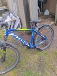 Rower storm shark 29"