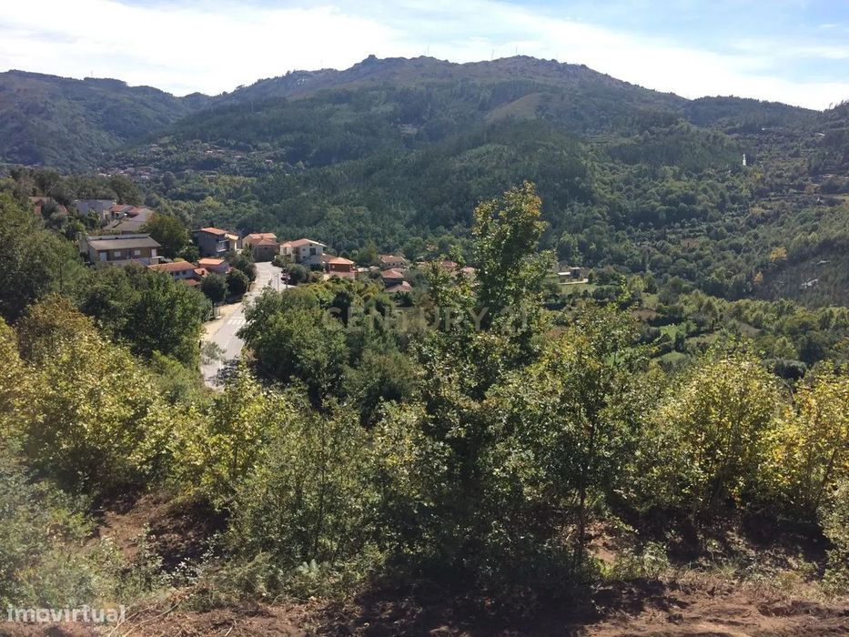 Terreno em Amares – 1.000 m² para Construção ou Turismo!