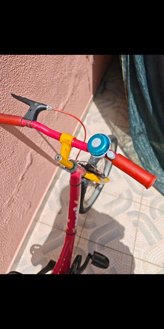Bicicleta de roda 20