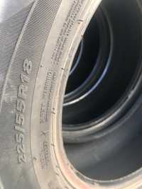 225/55 R18 літні шини NEXEN