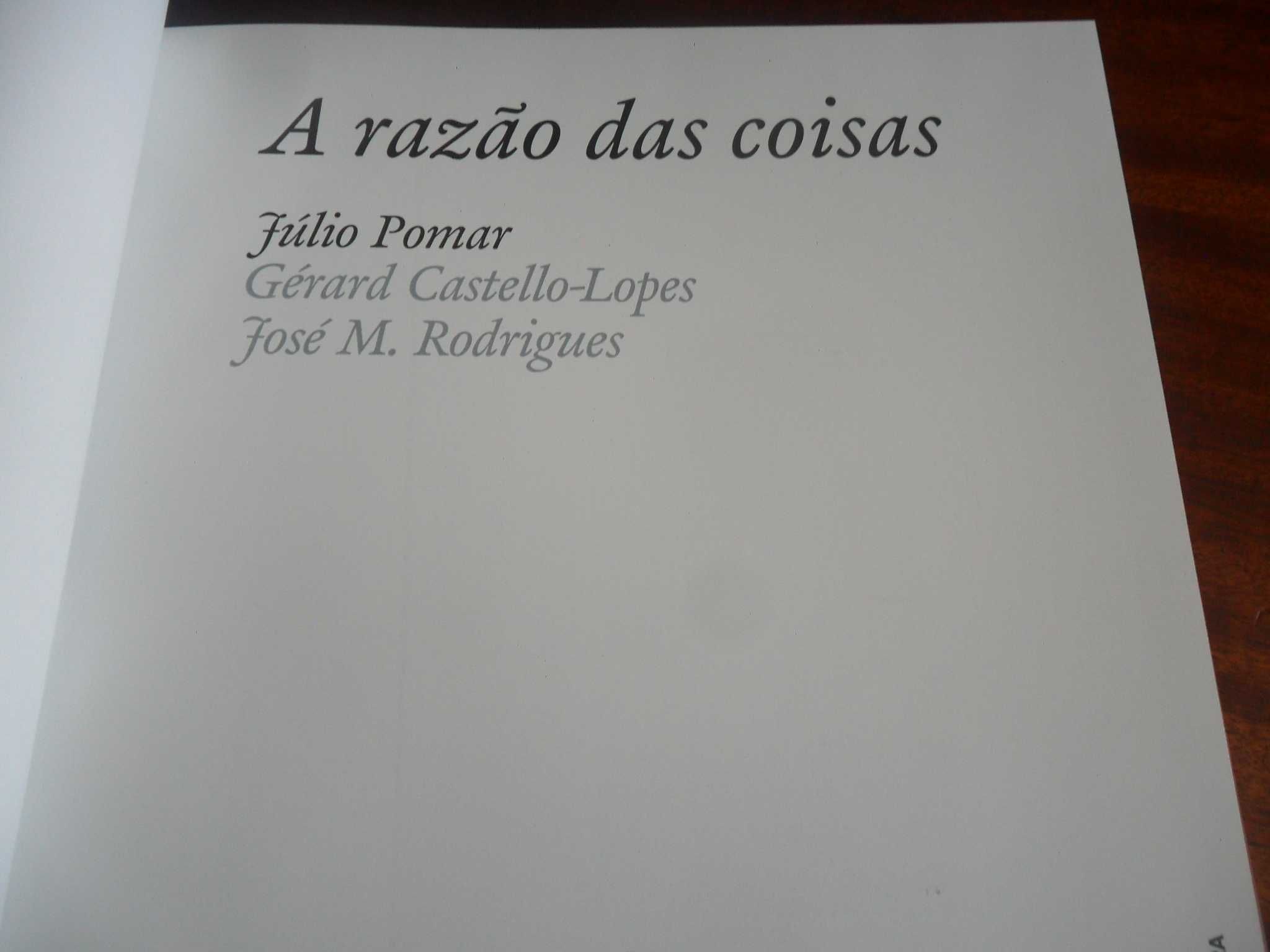 "A Razão das Coisas" de Júlio Pomar, G Castello-Lopes e José Rodrigues