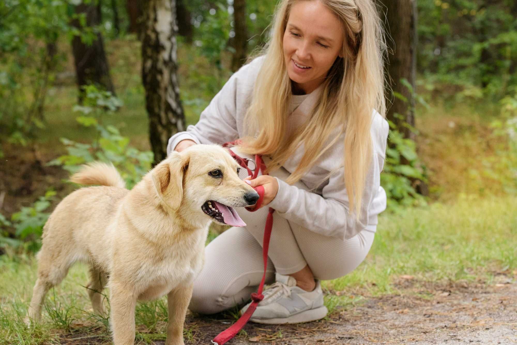 Kimmy: biszkoptowa młodzinka