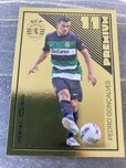 Cromo Liga Portuguesa de Futebol 2024-25 Panini Premium Pote Pedro Gon