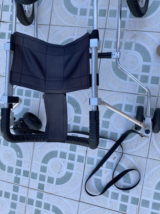 Cadeira de rodas para cão grande