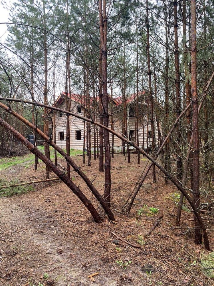 Велика земельна ділянка з будинком у сосновому лісі, 30 км від Києва