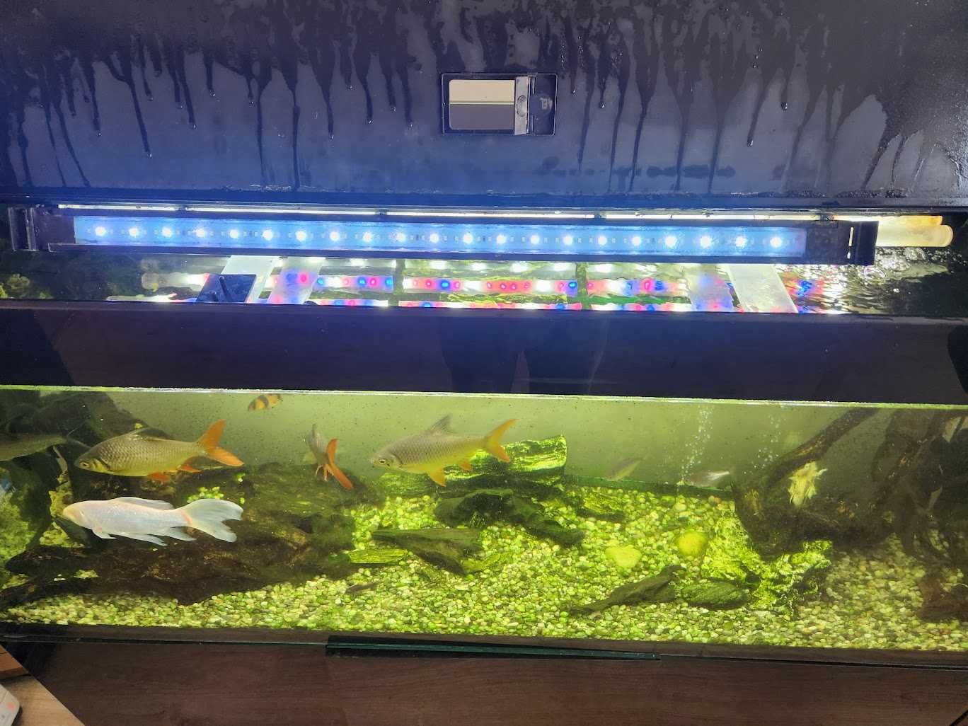 Akwarium AQUAEL 405l z szafką.