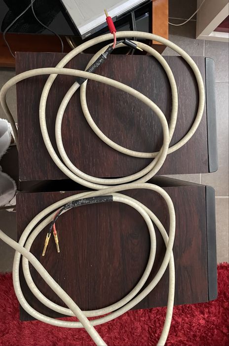 Colunas Mordaunt short MS3.50