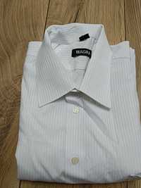 Biała koszula męska z błękitnymi paskami XL/XXL