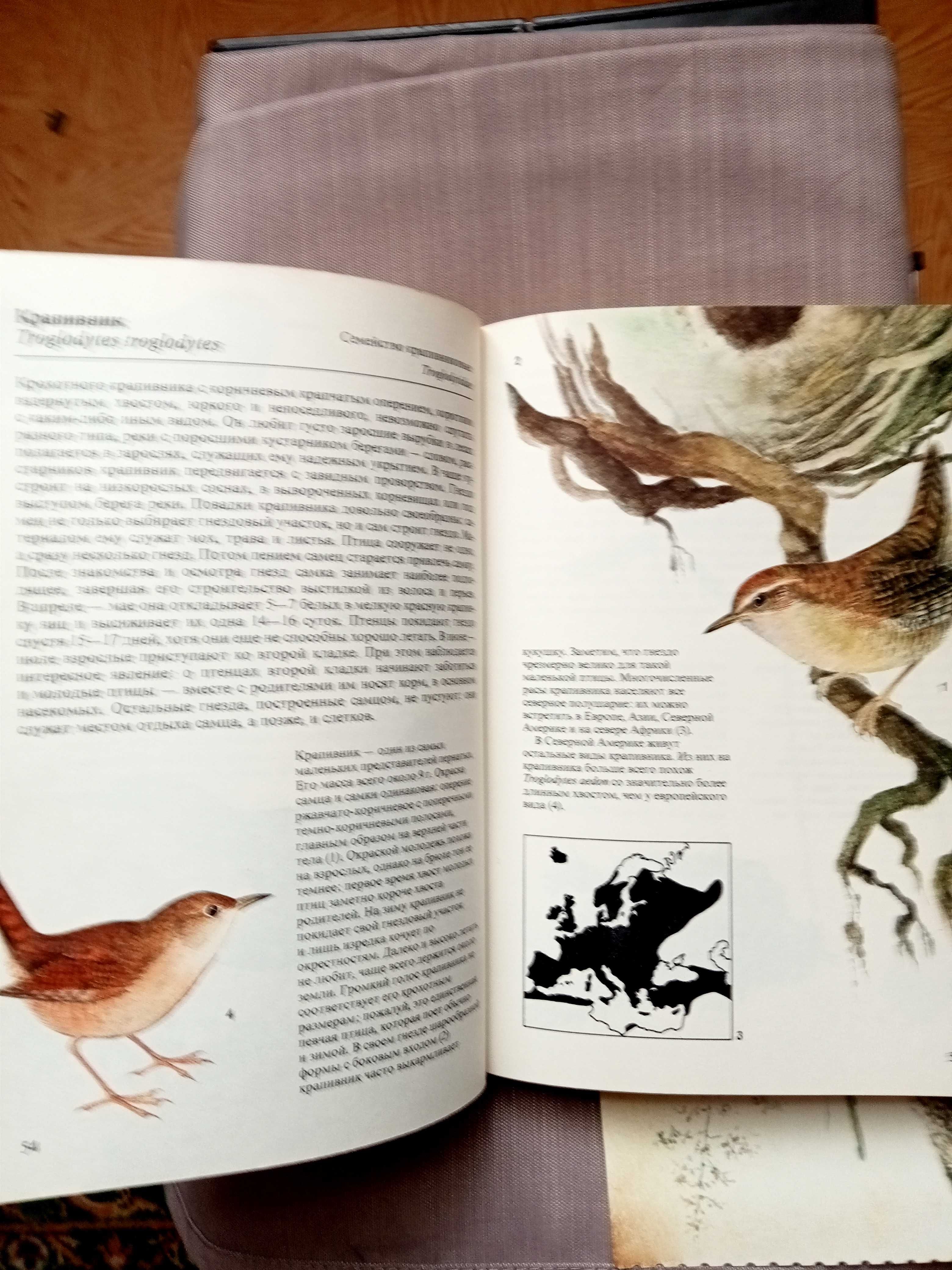 Певчие птицы  под редакцией  В.Фельдмана