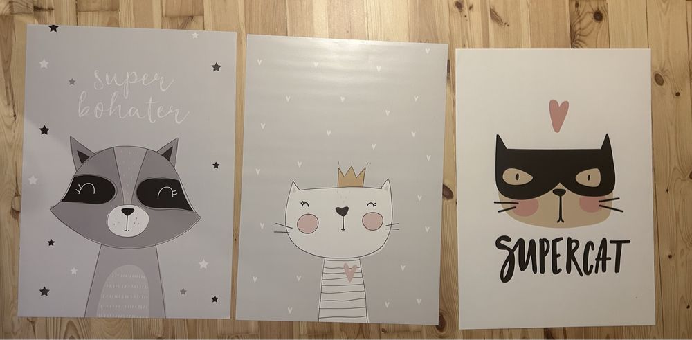 Kocie plakaty super bohater supercat kot koty plakat cat