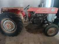 Vendo Massey fergunson 165