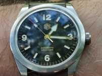 San Martin Tudor Ranger