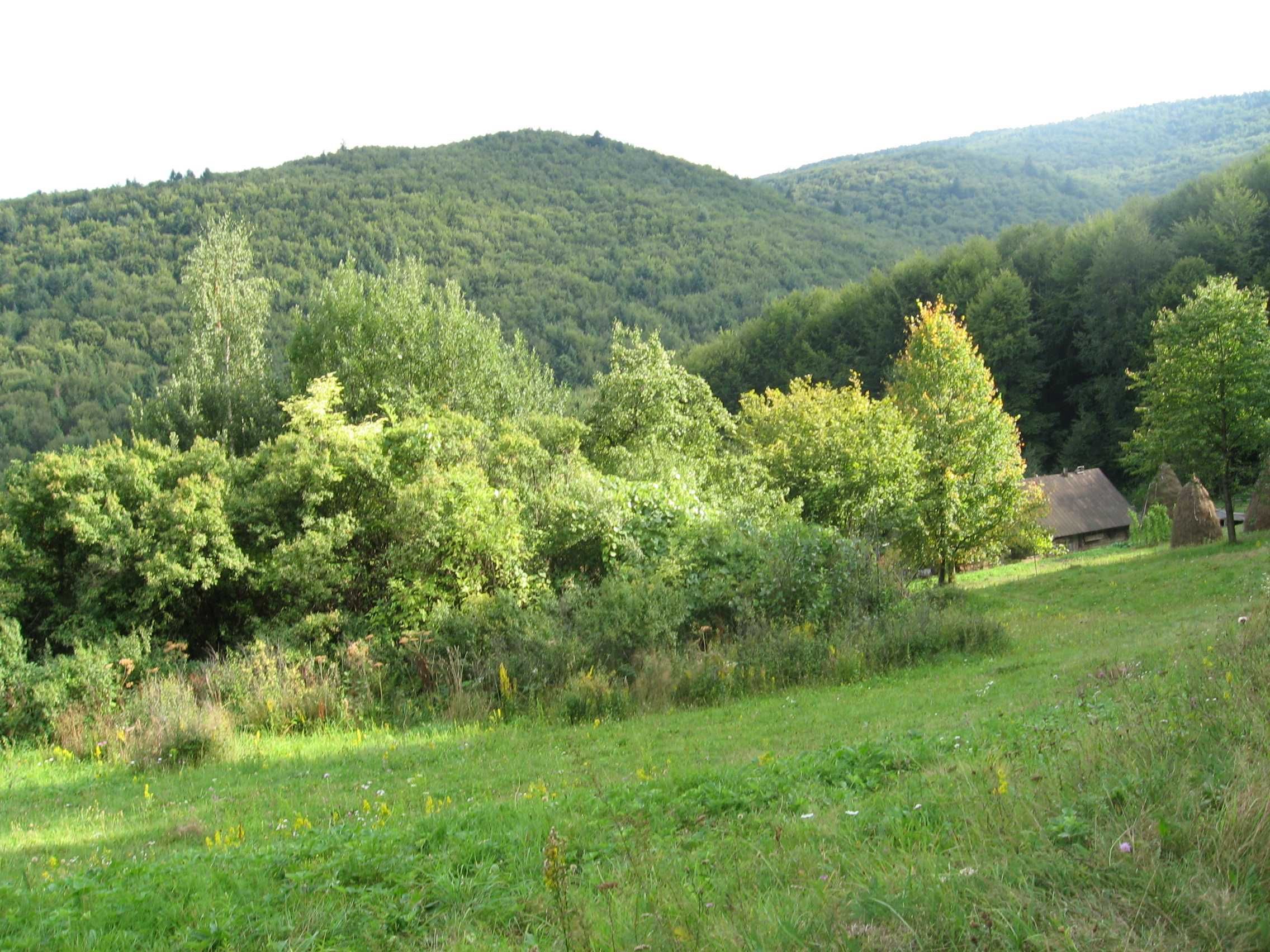 Земельна ділянка, с. Орів