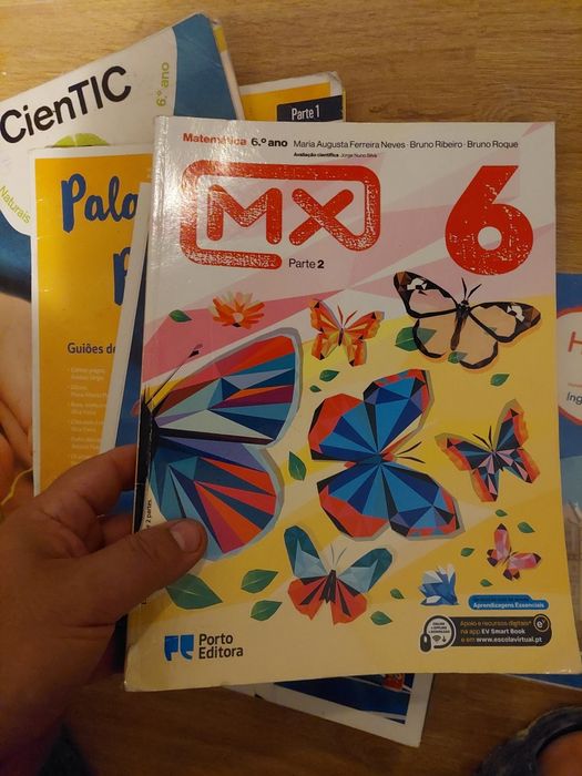 8 livros do 6 ano