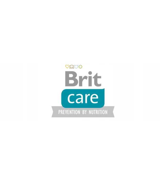 Brit Care Grain-free Adult Salmon Karma dla Psa Łosoś 12kg