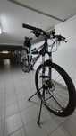 Focus raven 29R Carbono