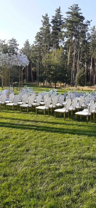 Оренда! Стільці Мілан на Ваше свято 200 грн