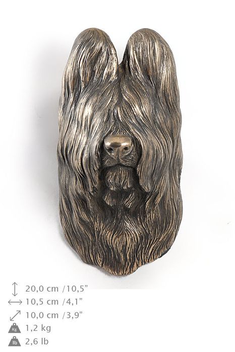 Owczarek francuski Briard głowa wisząca Art-Dog