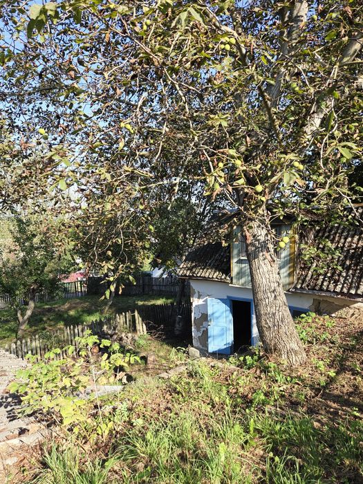 Продаж ділянки 14 сот з будинком 35 м² в Станишівці