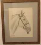 Quadro cavalo lusitano pintura