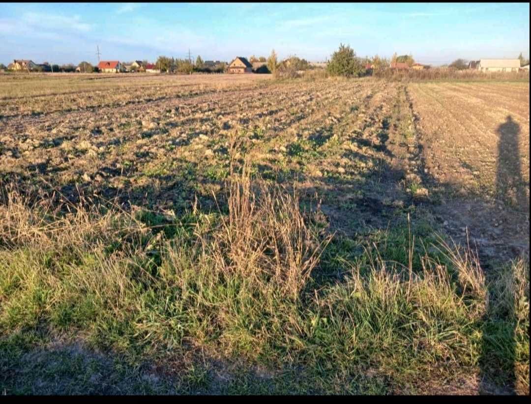 Земля ,12 сот с. Піддубці, житлова забудова
