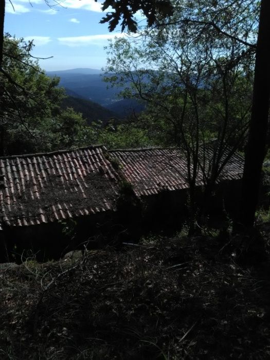 casa em pedra para recuperar -Pomar da serra-Espinhal