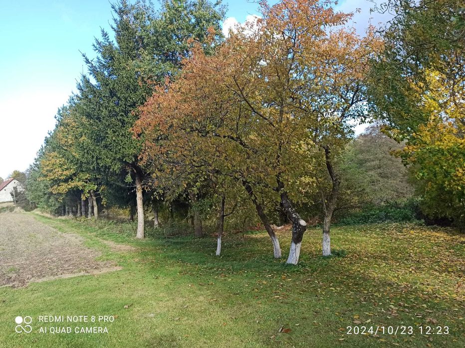 Sprzedam działkę rolną na Mazurach 3,39ha