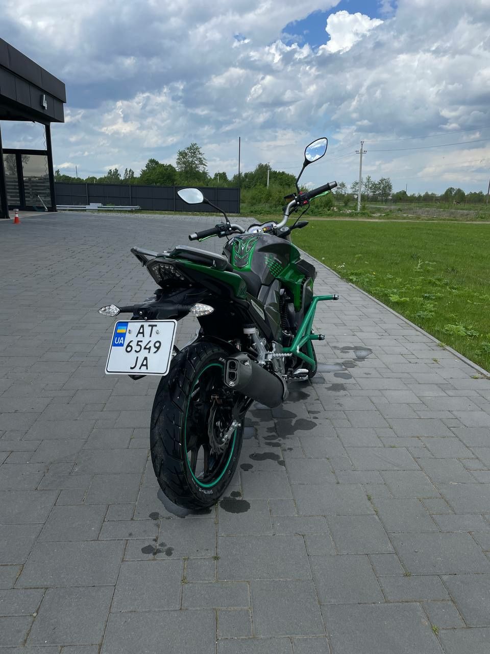 Senke leopard 250