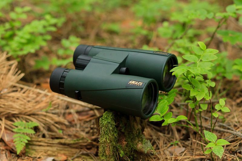 Lornetka Delta Optical Forest II 10x50 (DO.DO-1301)