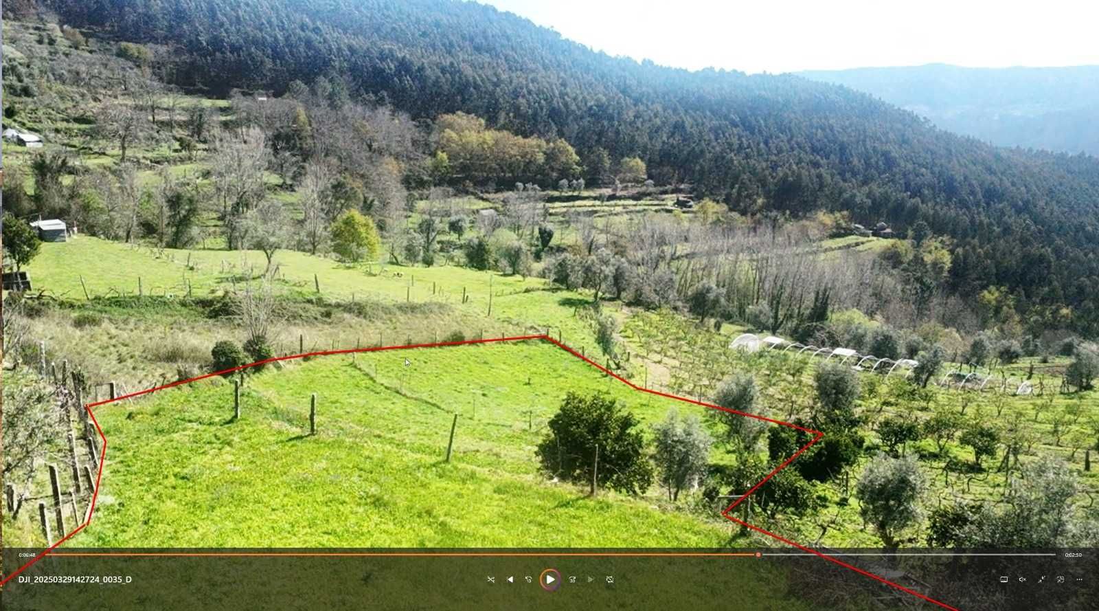 TERRENO COM PALHEIRO EM FORNELOS CINFÃES DO DOURO