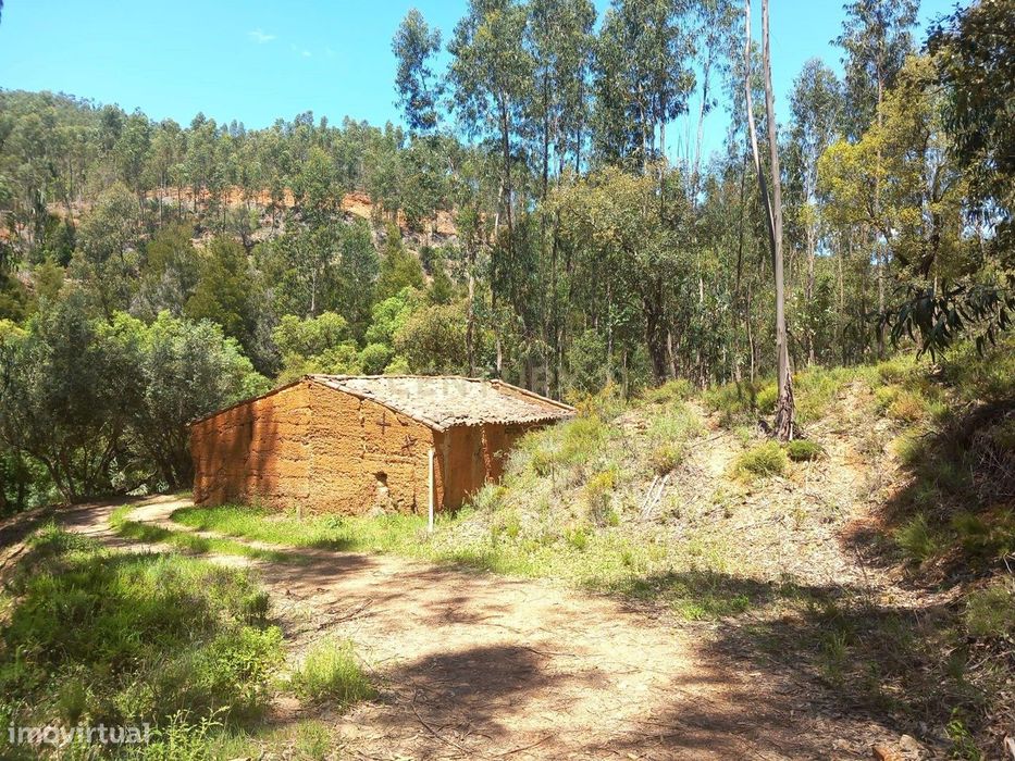 Terreno com cursos de água para venda na Serra de Monchique; Natureza,