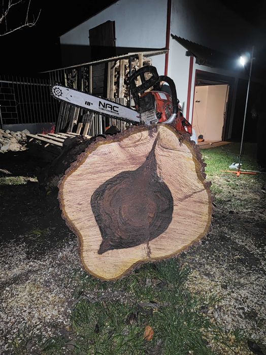 Sprzedam pnie drzew - orzech włoski