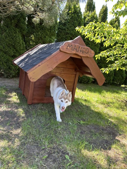 Bajeczne Drewno - Buda dla psa 100x80 Legowisko