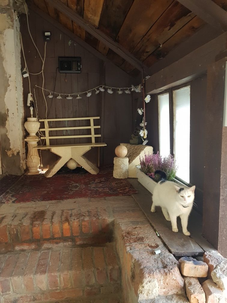 Sprzedam komplet na taras i balkon