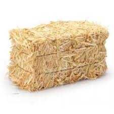 fardos de palha aveia com grão