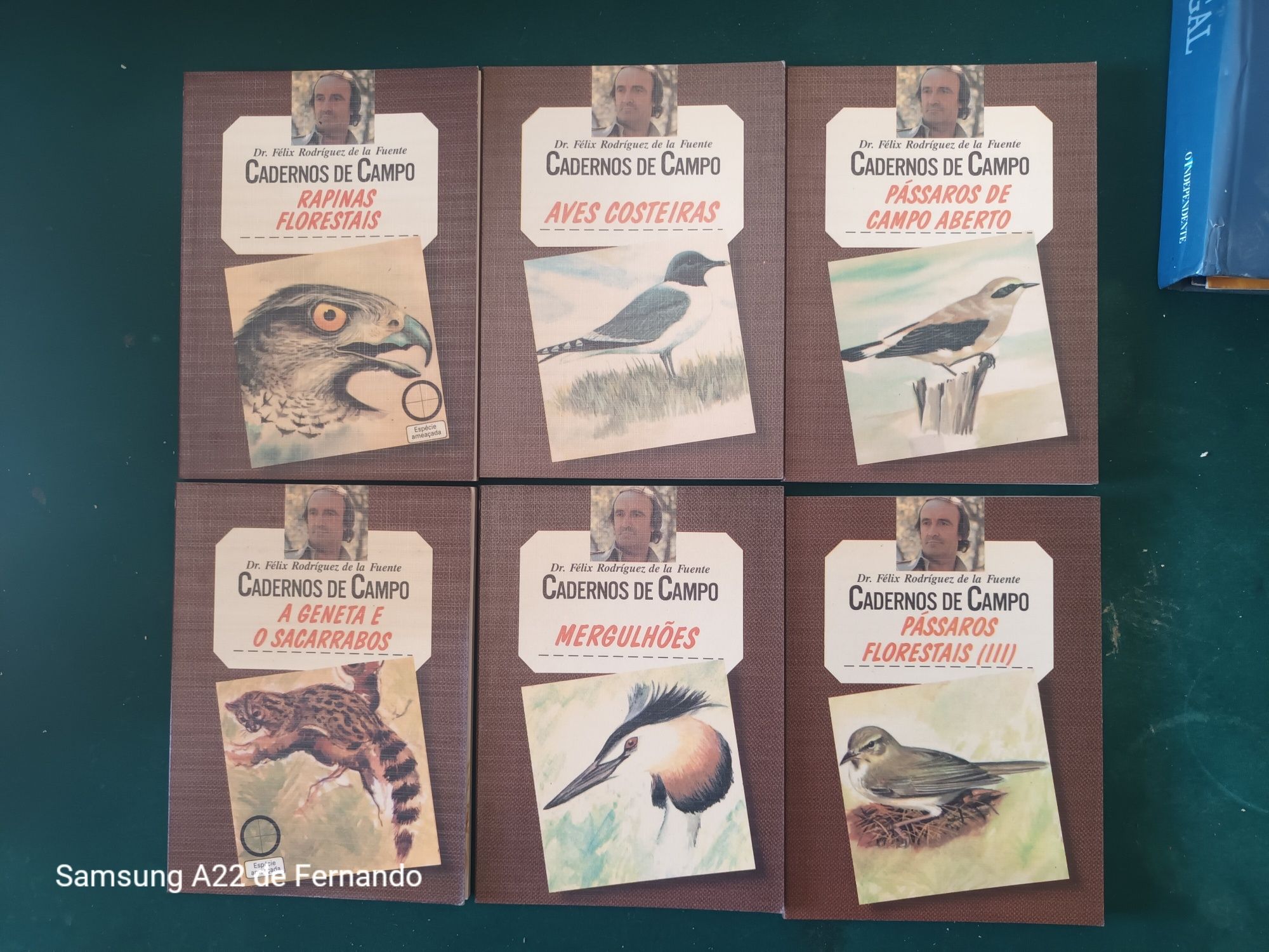 Cadernos do campo