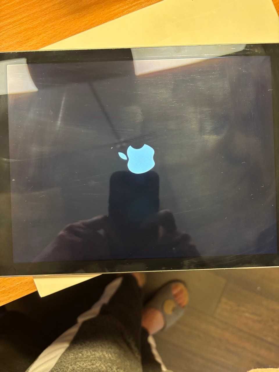 iPad Pro 9.7 inch 256 GB