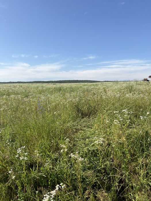 Земельна ділянка с.Велика Воля