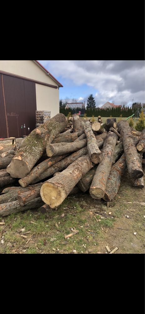 Drewno kominkowe BUKOWE Elbląg Braniewo i okolice -320 zł