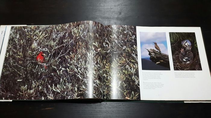 Livro de fotografias a vida selvagem