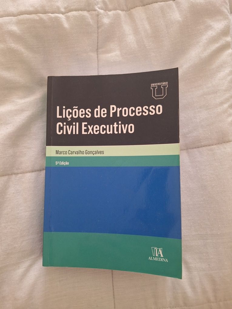 Processo civil executivo