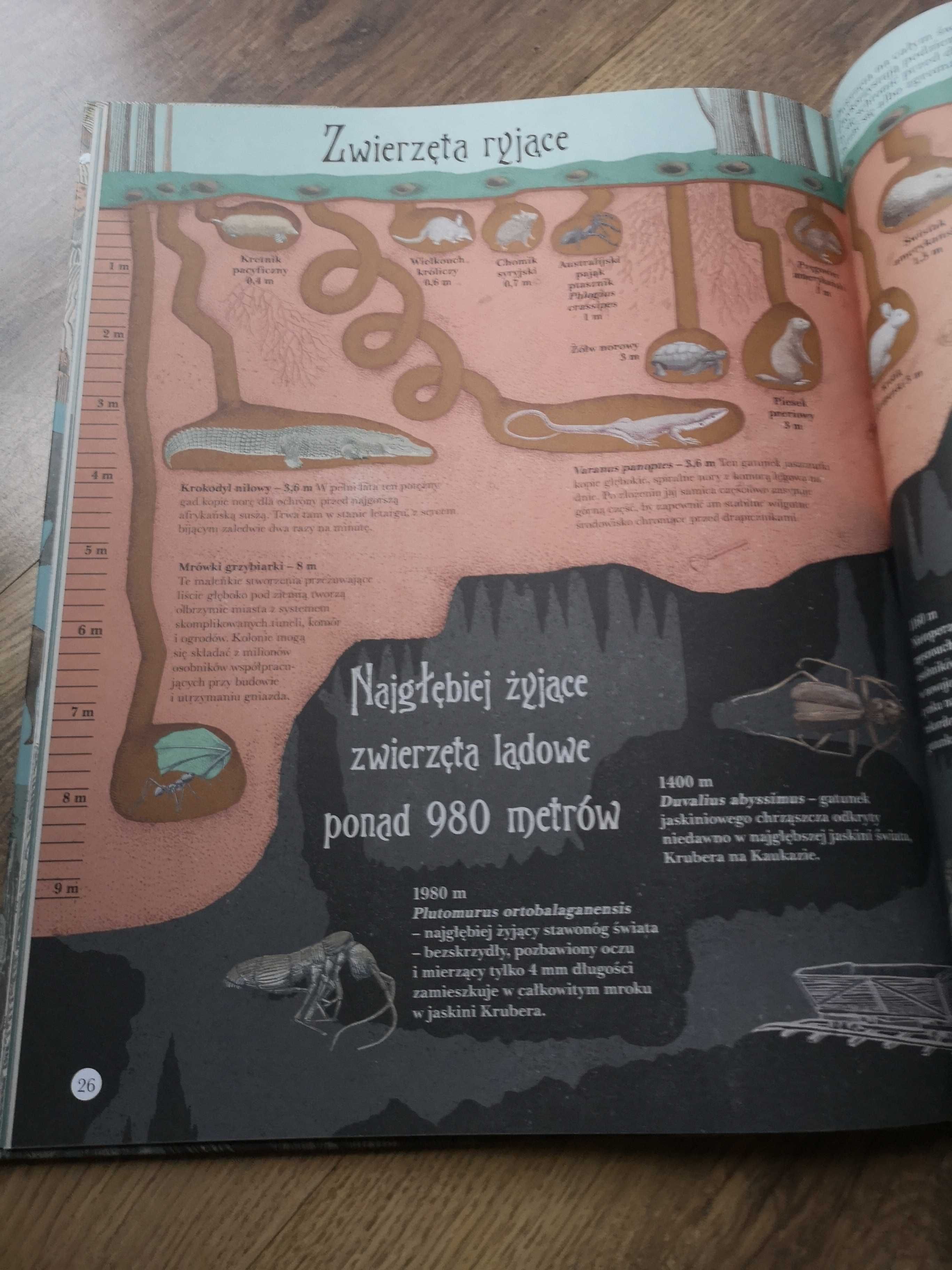 Książka Najwyzsza góra, najgłębszy ocean JAK NOWA