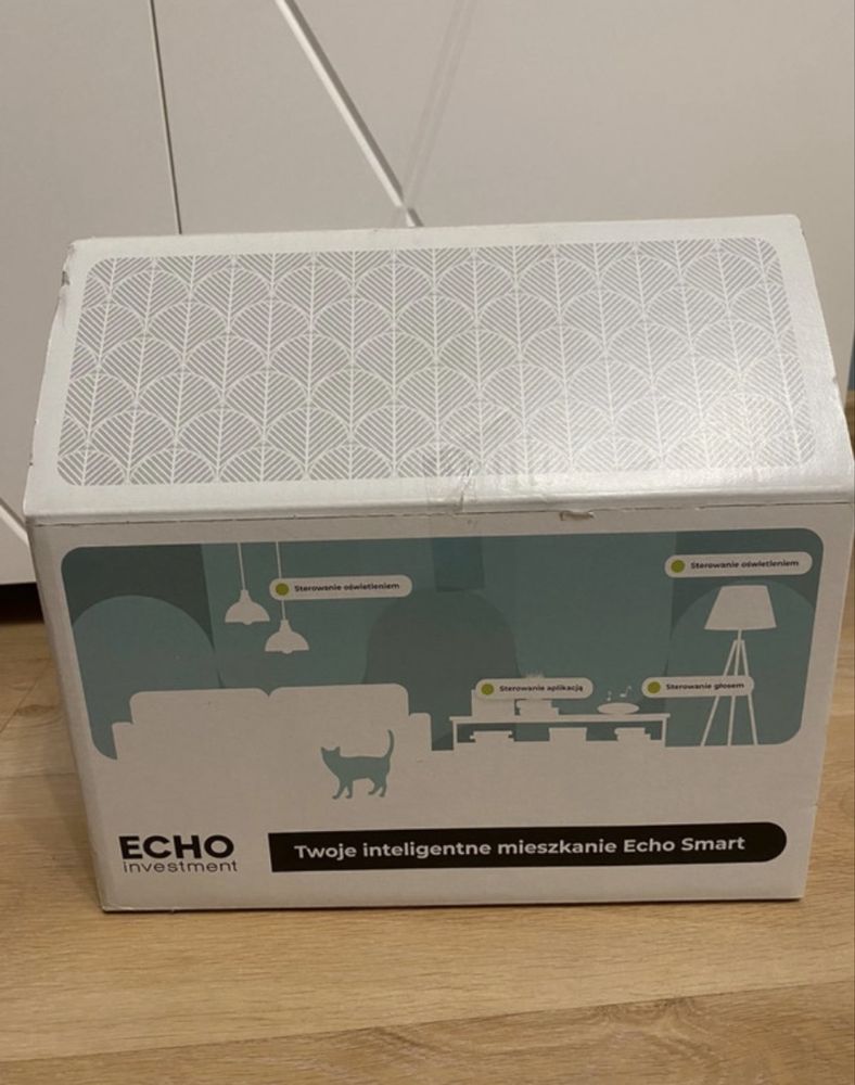 Inteligentny system echo