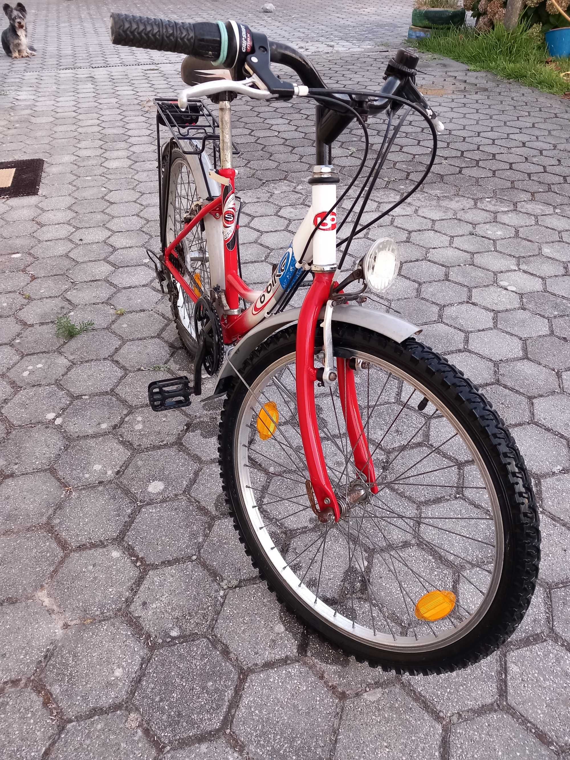 Bicicleta roda 24