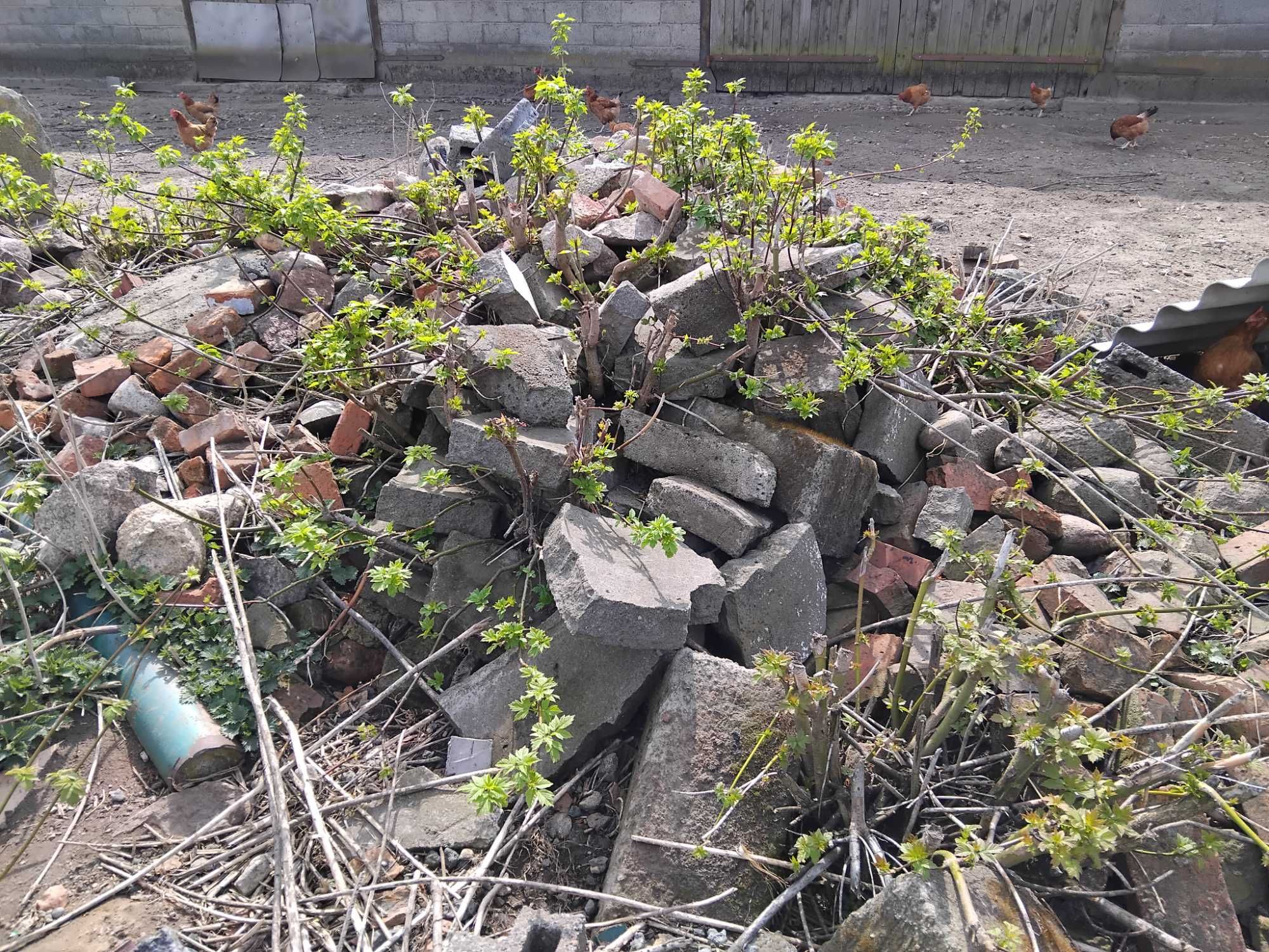 Oddam za darmo gruz