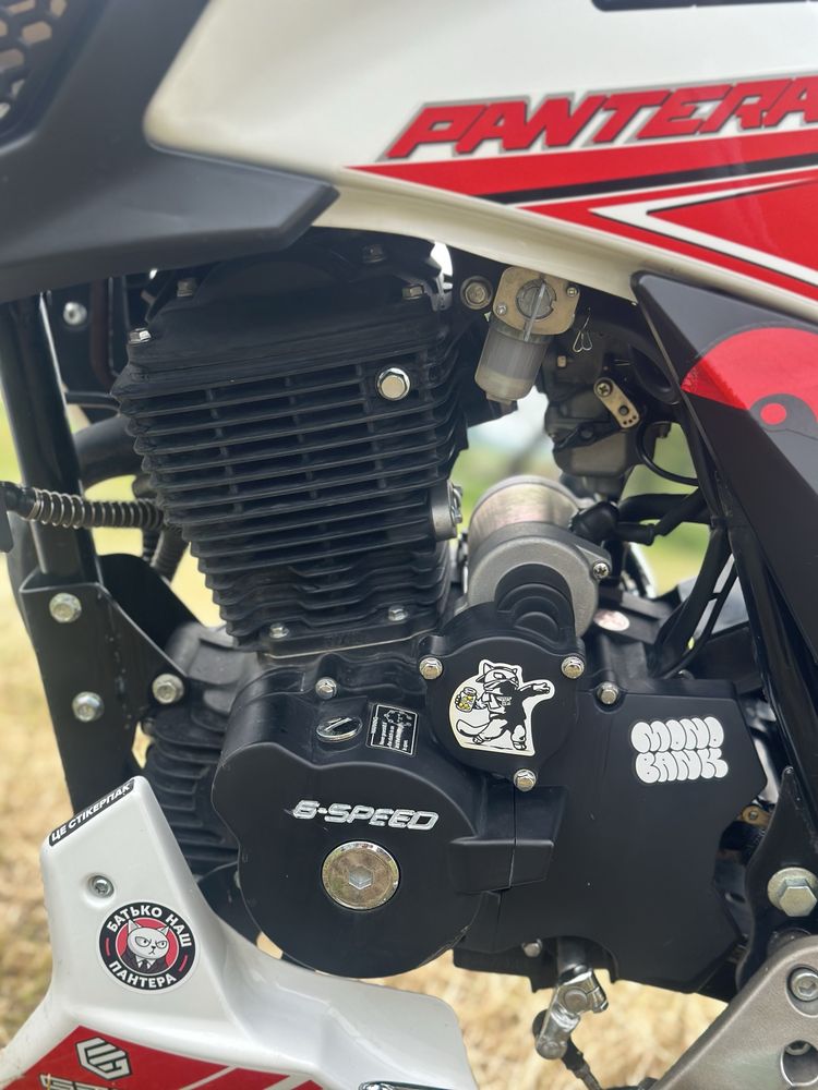 Geon Pantera 250