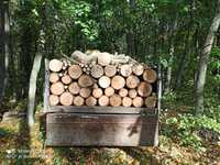 Продам дрова твердой породи