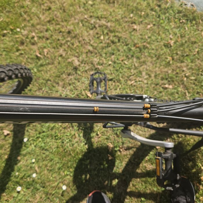 Rower damski WHEELER PRO 500 17"
