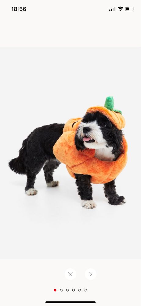 Nowe przebranie r L dla psa dynia halloween ubranko H&M