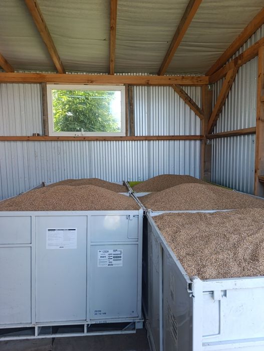 Sprzedam Zboże z tegorocznych plonów